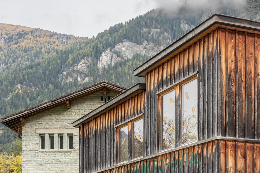 Dachrand Werkhof. Foto: Elia Schneider, 2022