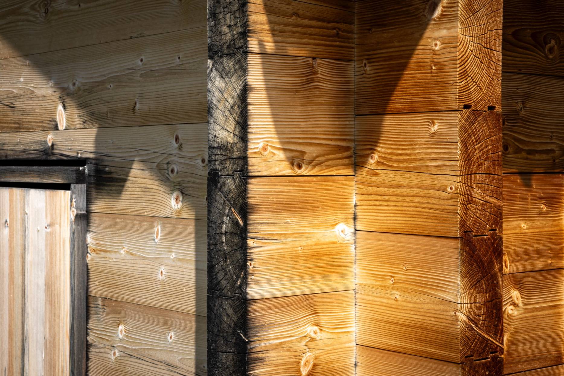 Detail Gwätt. Foto: Elia Schneider, 2023