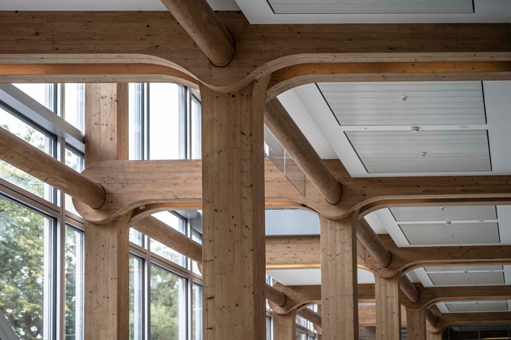 Verbindung. Foto: Elia Schneider, 2022