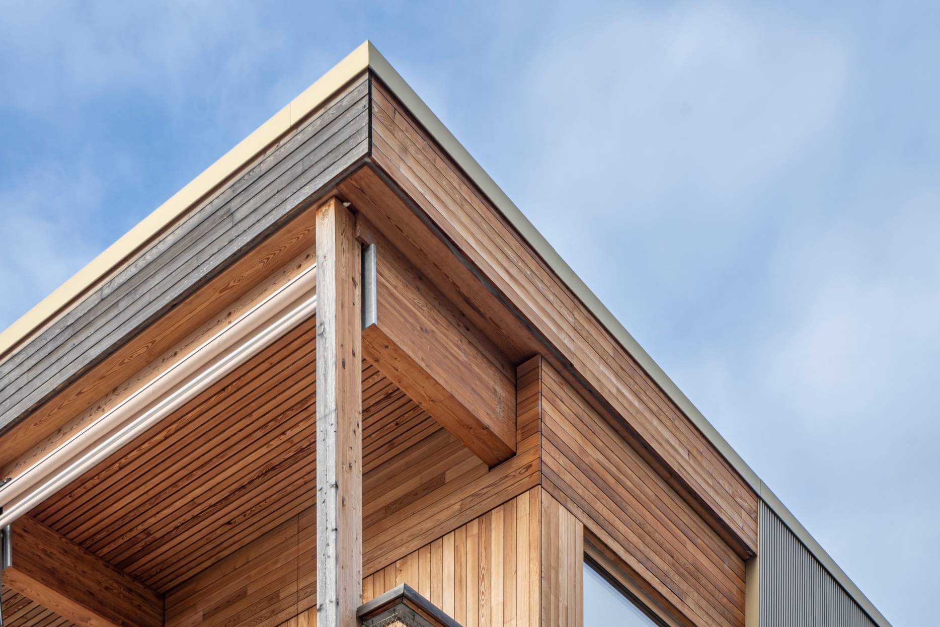 Dachrand. Foto: Elia Schneider, 2023