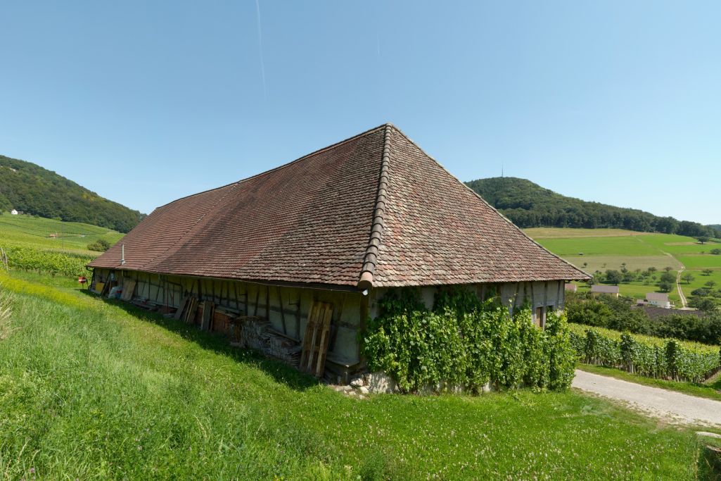 Ansicht Nordwest vor Umbau. Foto: Amt für Denkmalpflege des Kantons Schaffhausen, 2009