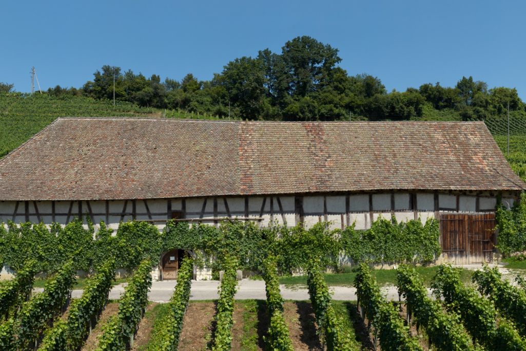 Ansicht Süd vor Umbau. Foto: Amt für Denkmalpflege des Kantons Schaffhausen, 2009