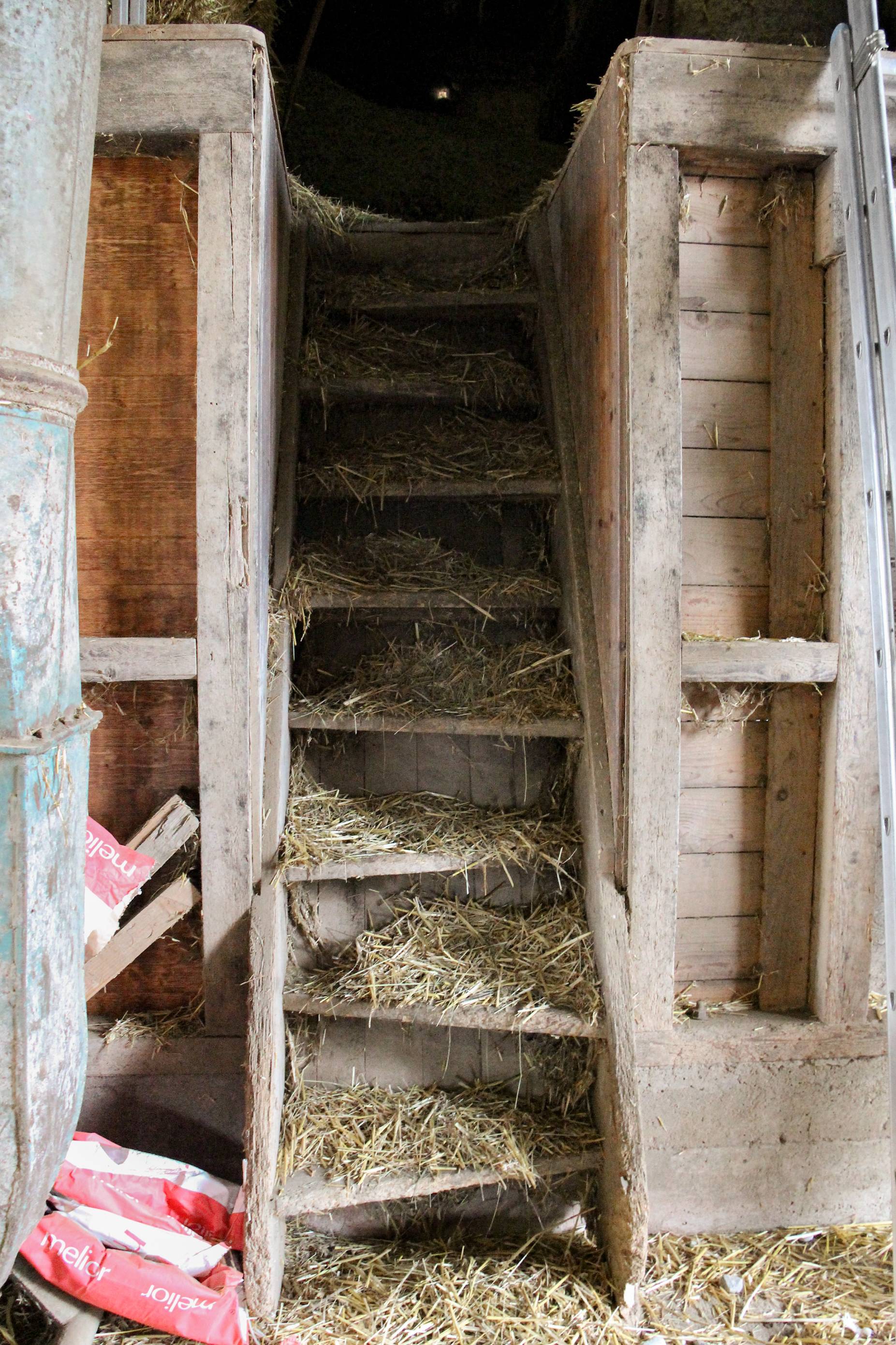 Platzspartreppe. Foto: Marion Sauter, 2019