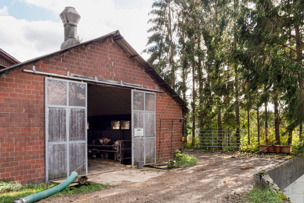 Stallerweiterung. Foto: Marion Sauter, 2019