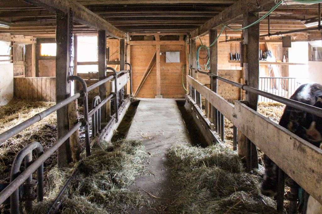 Viehstall. Foto: Marion Sauter, 2019