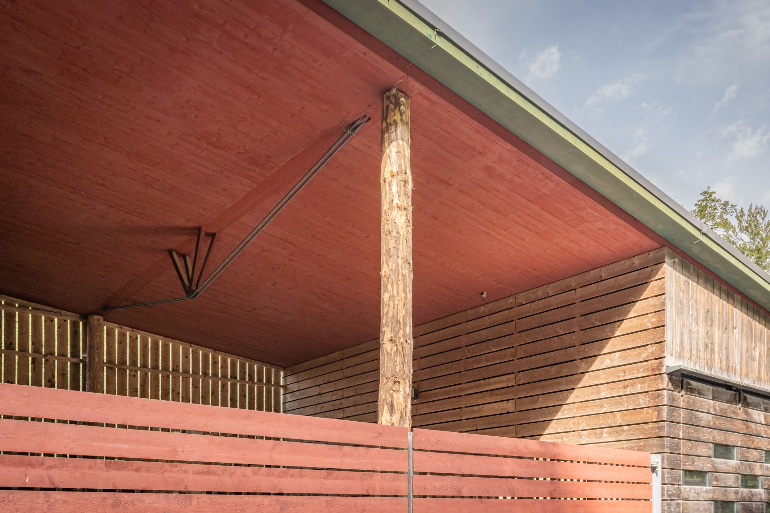 Tragstruktur Halle. Foto: Elia Schneider, 2023