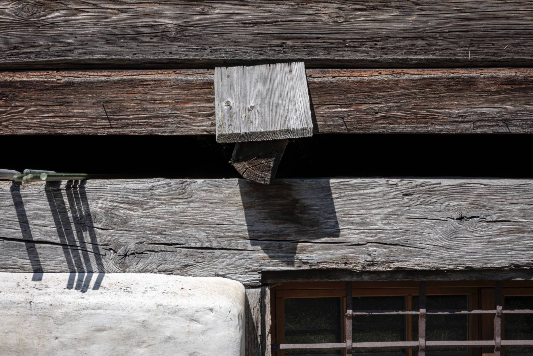 Detail Schwellbalken. Foto Elia Schneider, 2023