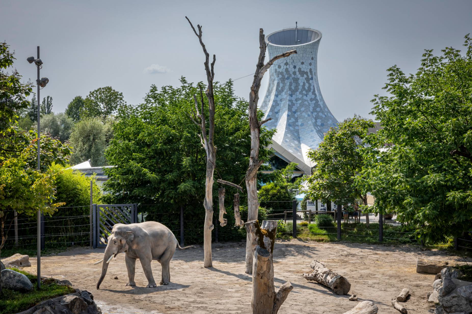 Ansicht Ost. Foto: Elia Schneider, 2023