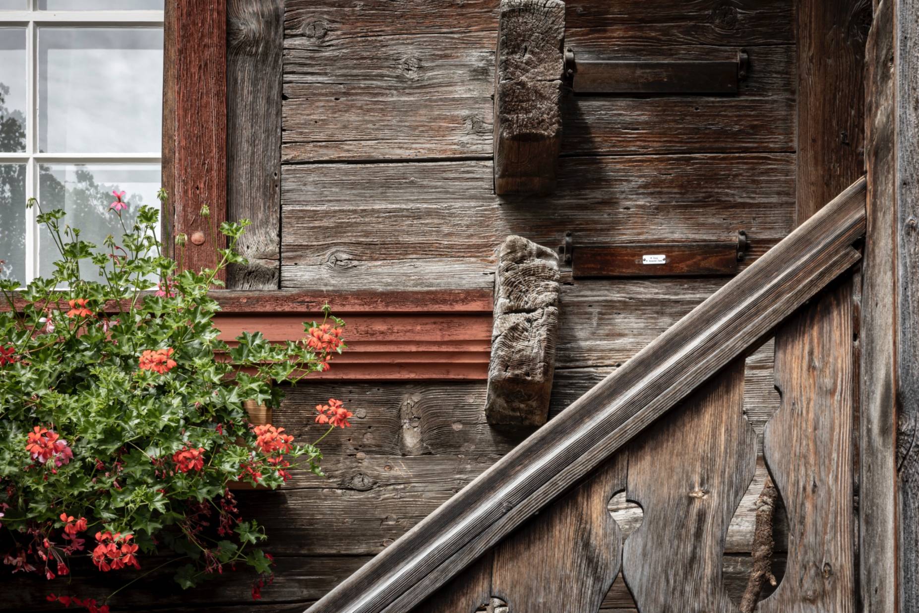 Detail, Verkämmung. Foto: Elia Schneider, 2023