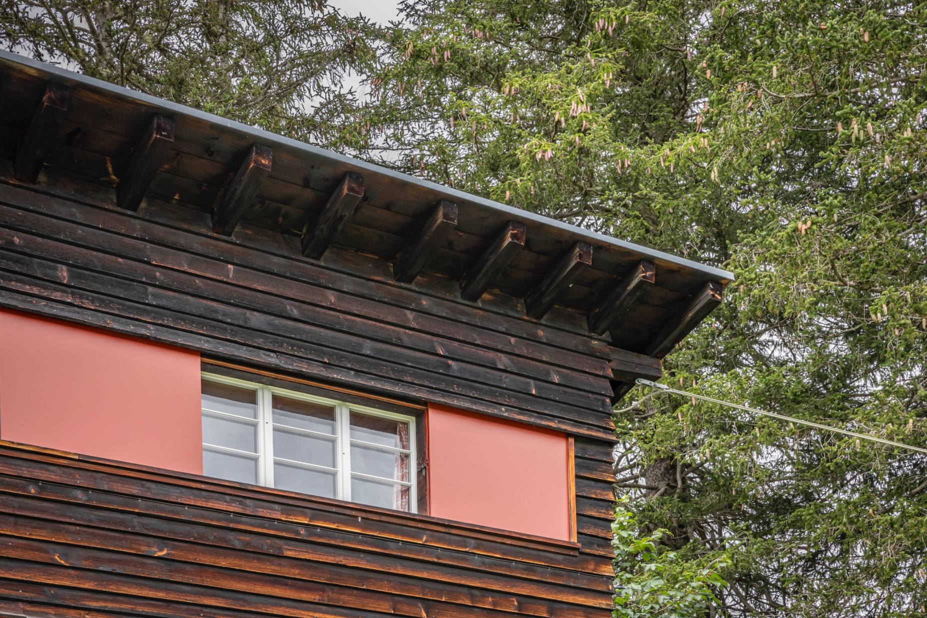 Detail Bandfenster und Pultdach. Foto: Elia Schneider, 2023