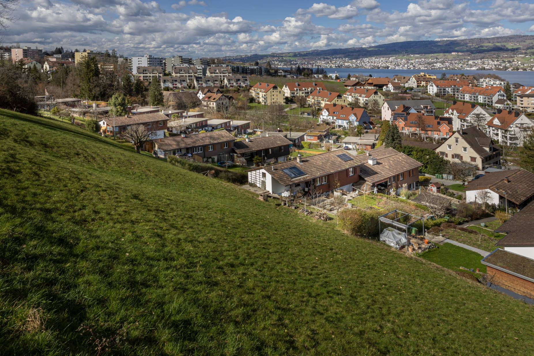Blick über die Siedlung zum Zürichsee. Foto: Elia Schneider, 2023