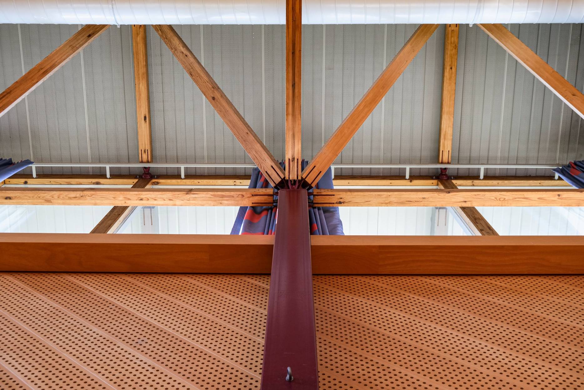 Knoten. Foto: Alexander Däscher, 2023