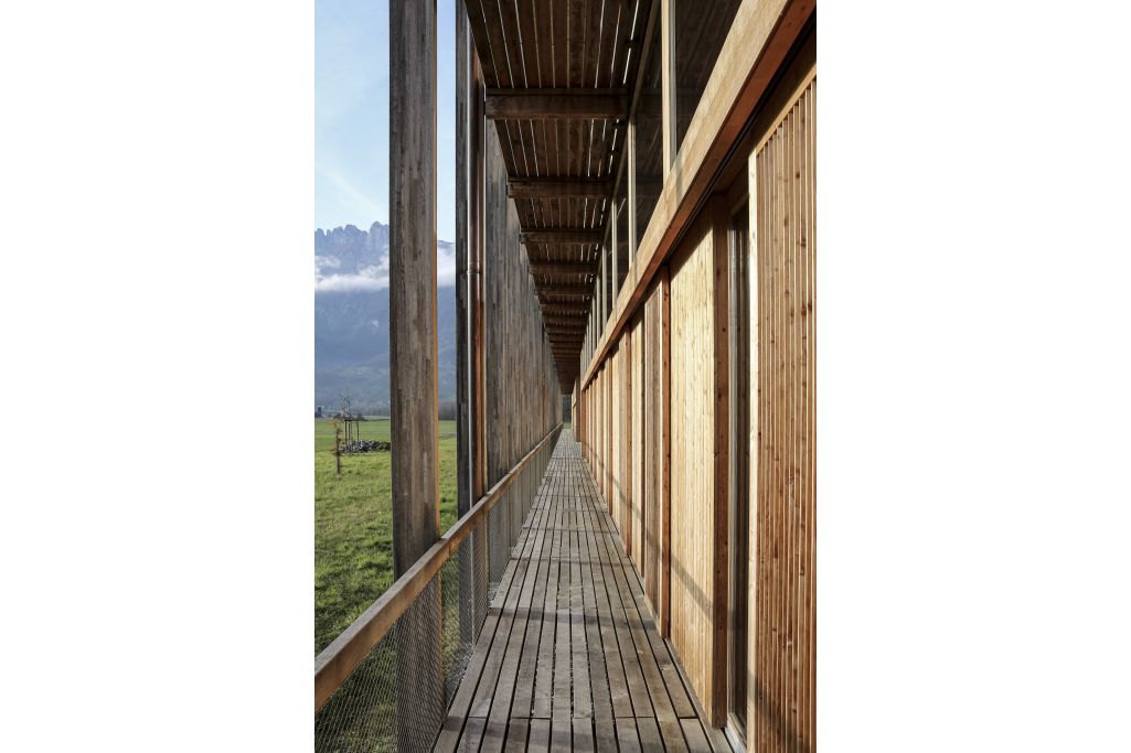 Laubengang. Foto: Gabriel Fürst, 2021