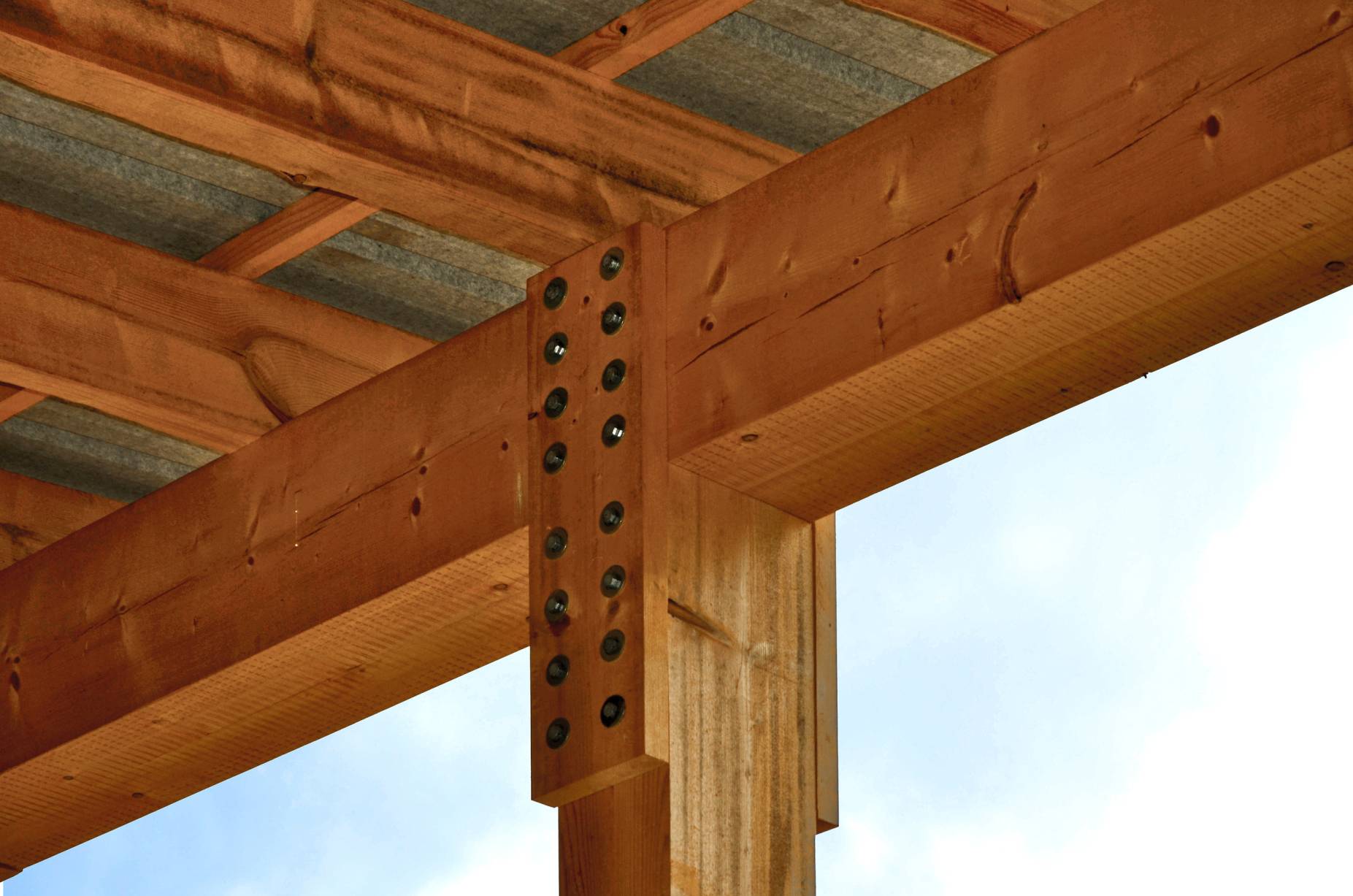 Knoten. Foto: Nicola Zäch, 2023